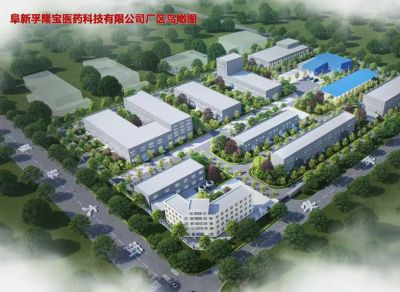 Aerial view of the factory